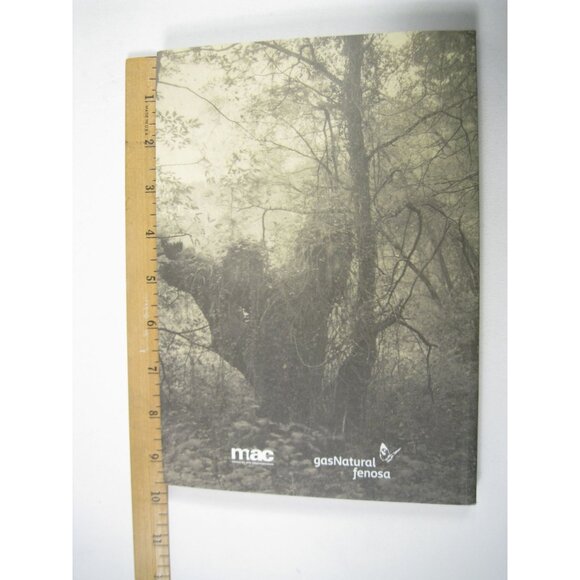 Los Murmullos Del Bosque Takeshi Shikama Photography Book Museum Arte Contempary
